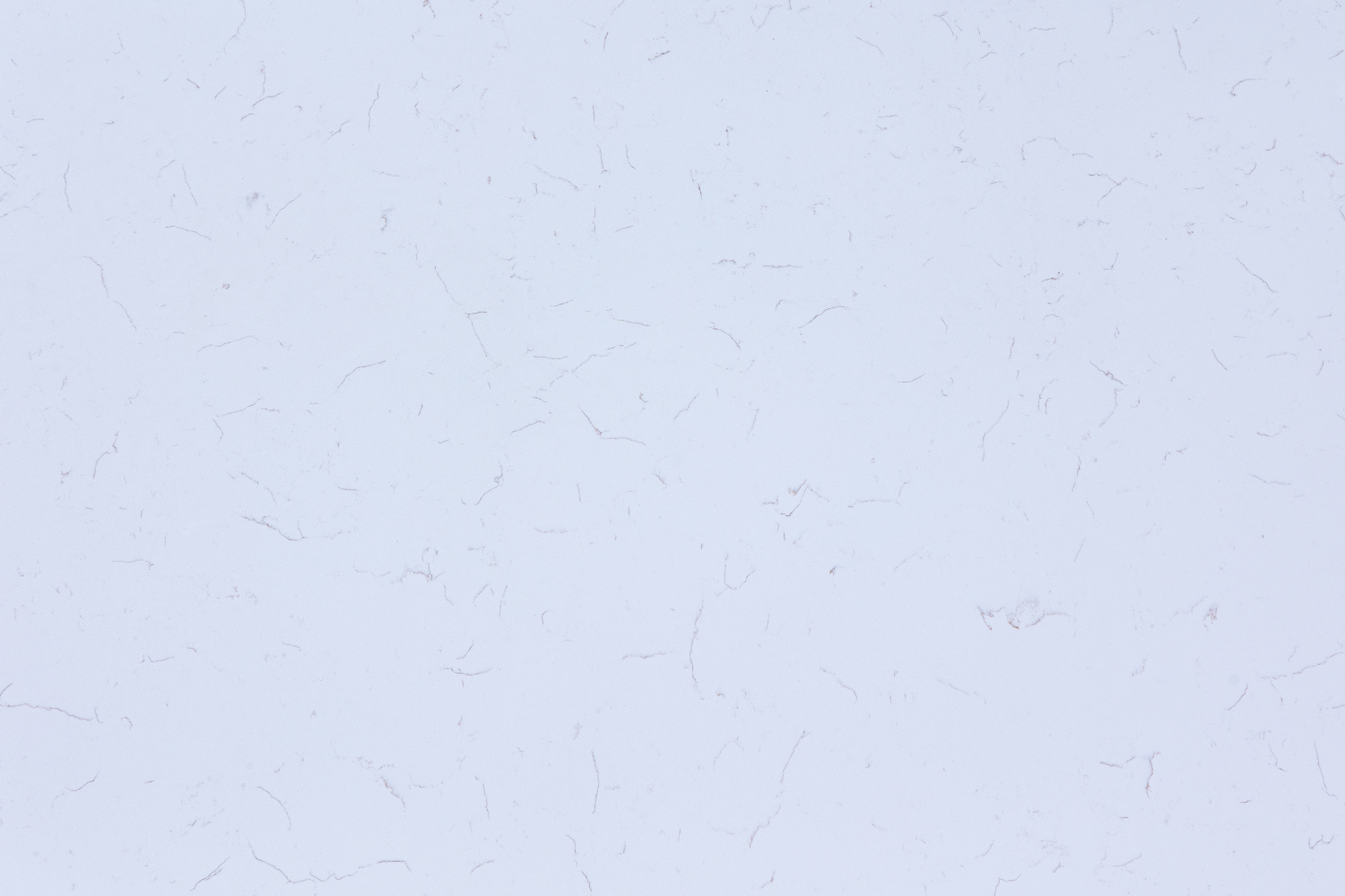 Tấm Đá Thạch Anh Nhân Tạo Carrara White C application 1
