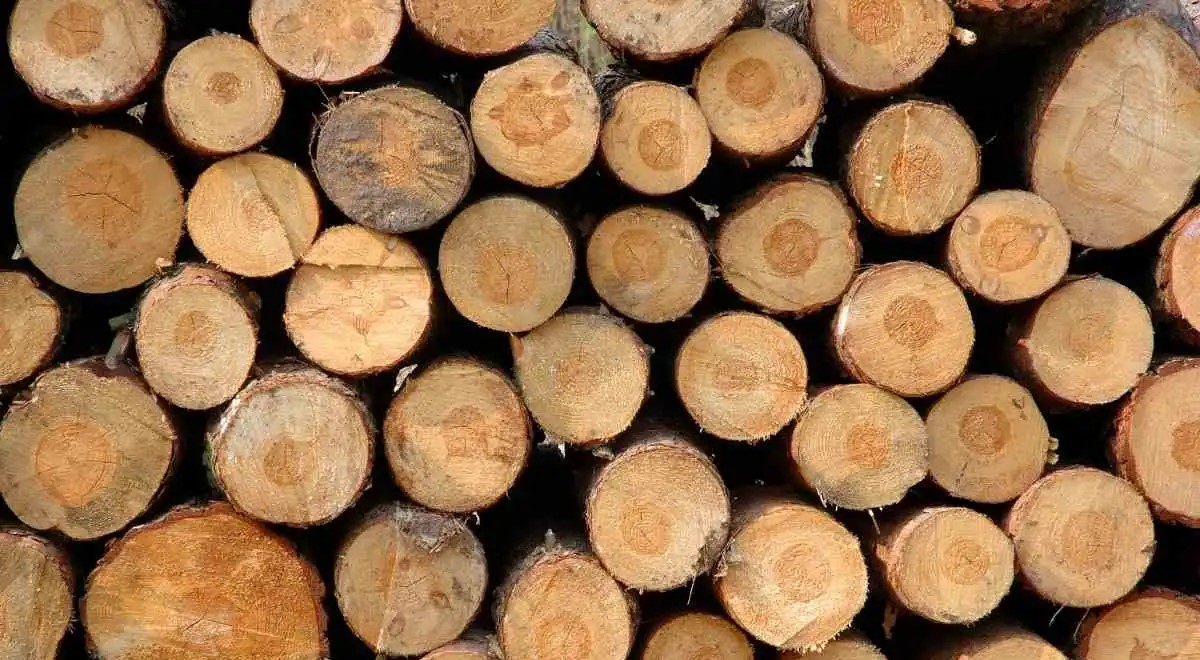 RAW TIMBER