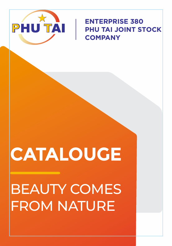Company Profile and Enterprise 380 Product Catalog for 2025